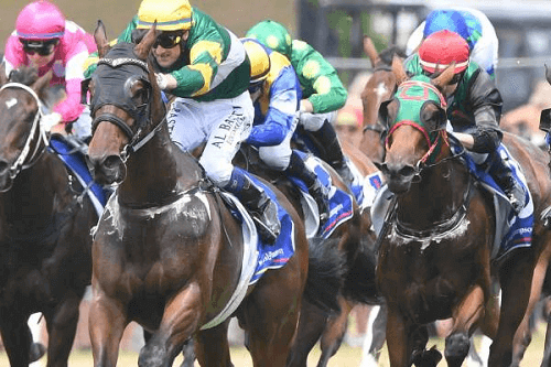 thames racing club horses running