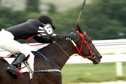 racing industry reform new zealand