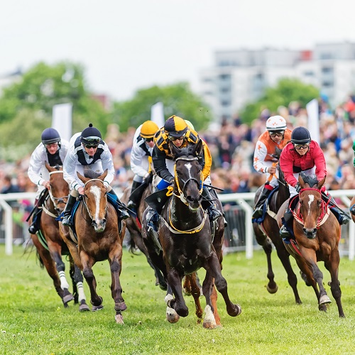 RITA NZ Racing Deal RITA NZ Racing Deal