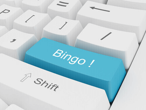 Bingo Online NZ