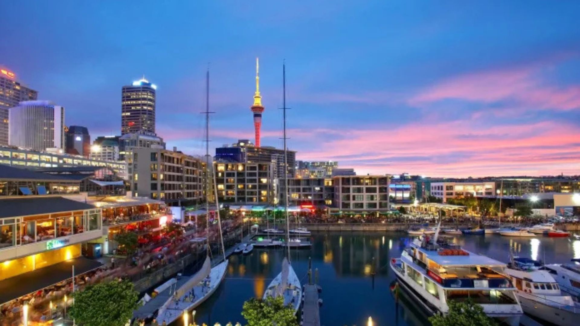 New Online Casinos in New Zealand 2026: What Players Should Know