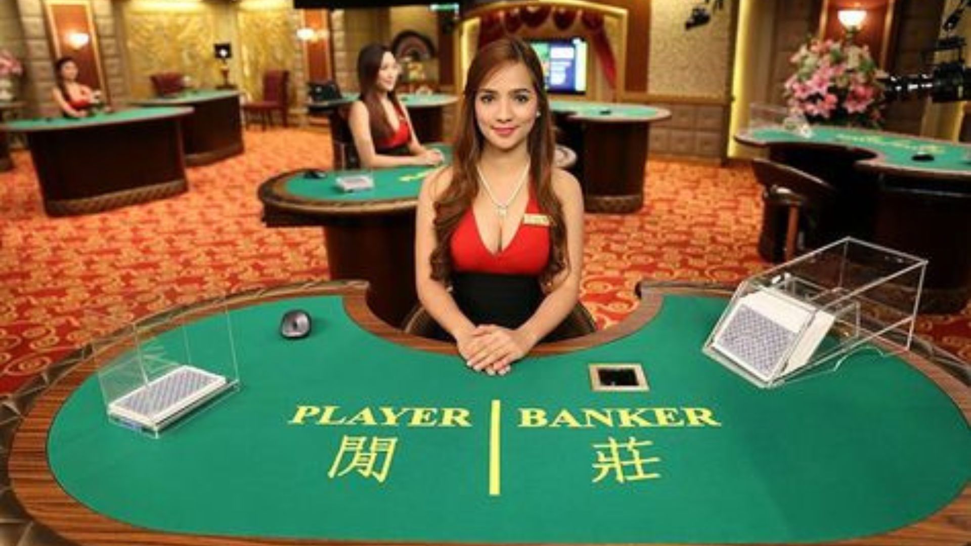 How to Play Online Baccarat in New Zealand